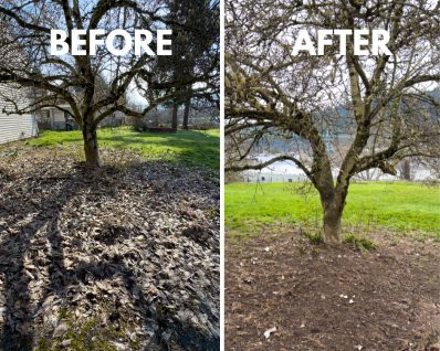 Simple Before and After LUT Slider Post Facebook Post - 4